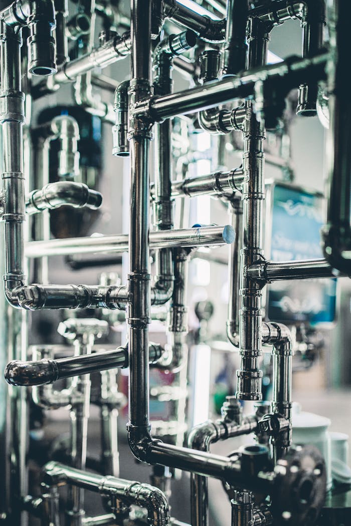 pexels photo 2310904 2.jpeg
